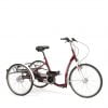 Driewielfiets Lagoon van het merk Vermeiren