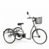 Driewielfiets Electrisch Lagoon, zeer lage instap