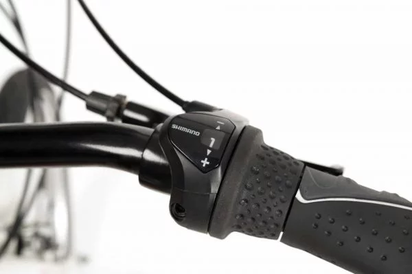 Driewielfiets Electrisch Lagoon, zeer lage instap