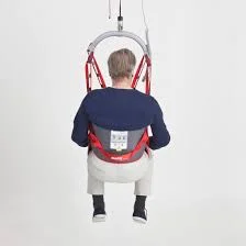 Dit is de Molift RgoSling Toilet LowBack