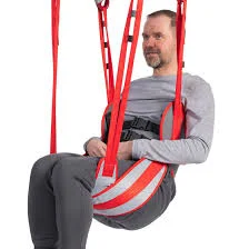 Molift RgoSling Toilet LowBack